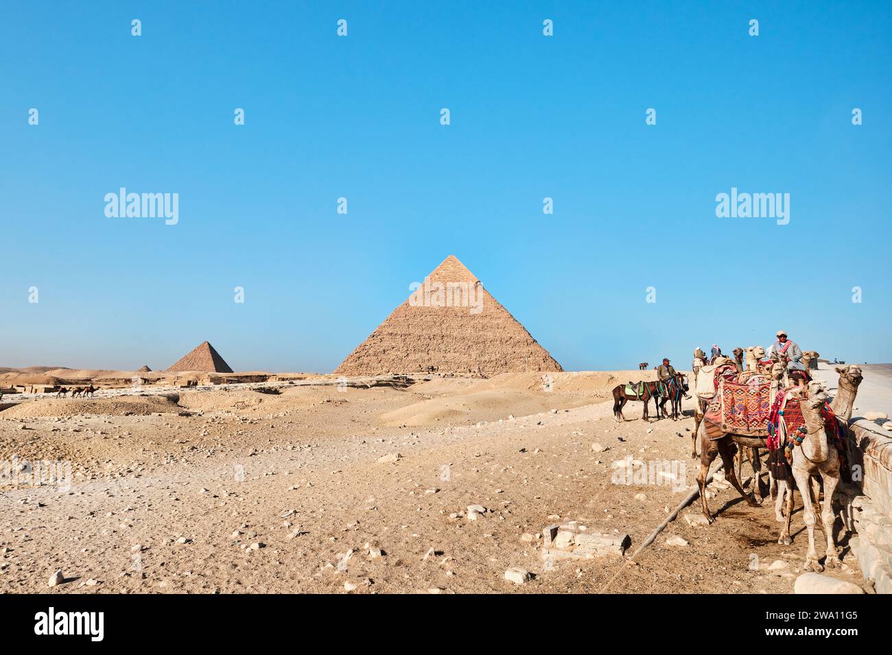 Gizeh, Egypte - décembre 24 2023 : pyramide de Khafre (également lu comme Khafra, Khefren) et Menkaaure avec des chameaux Banque D'Images
