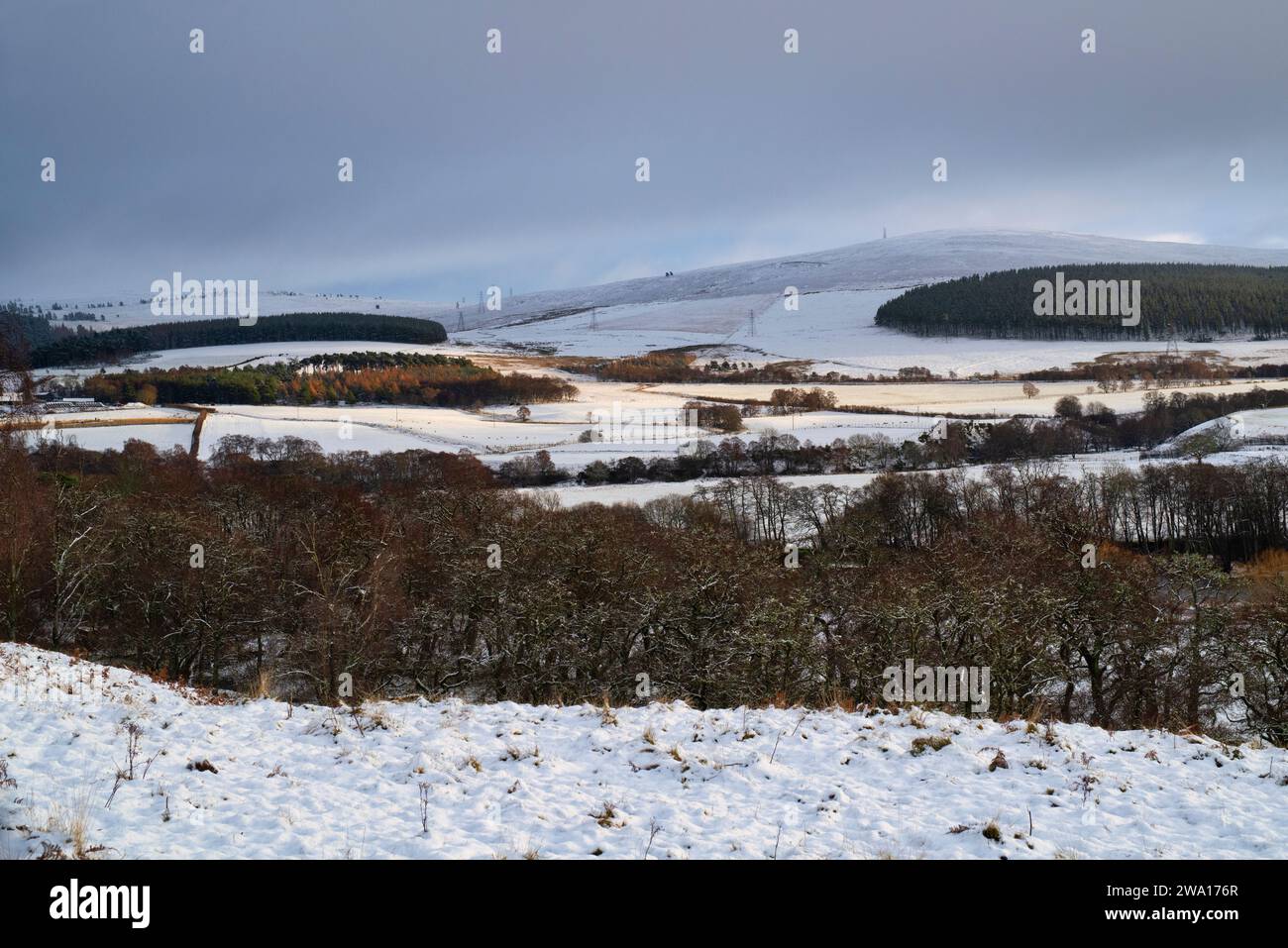 Rivière spey dans la neige. Speyside, Morayshire, Écosse Banque D'Images