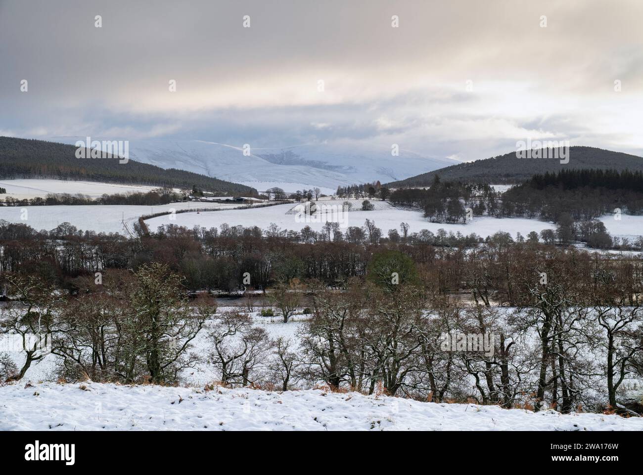 Rivière spey dans la neige. Speyside, Morayshire, Écosse Banque D'Images
