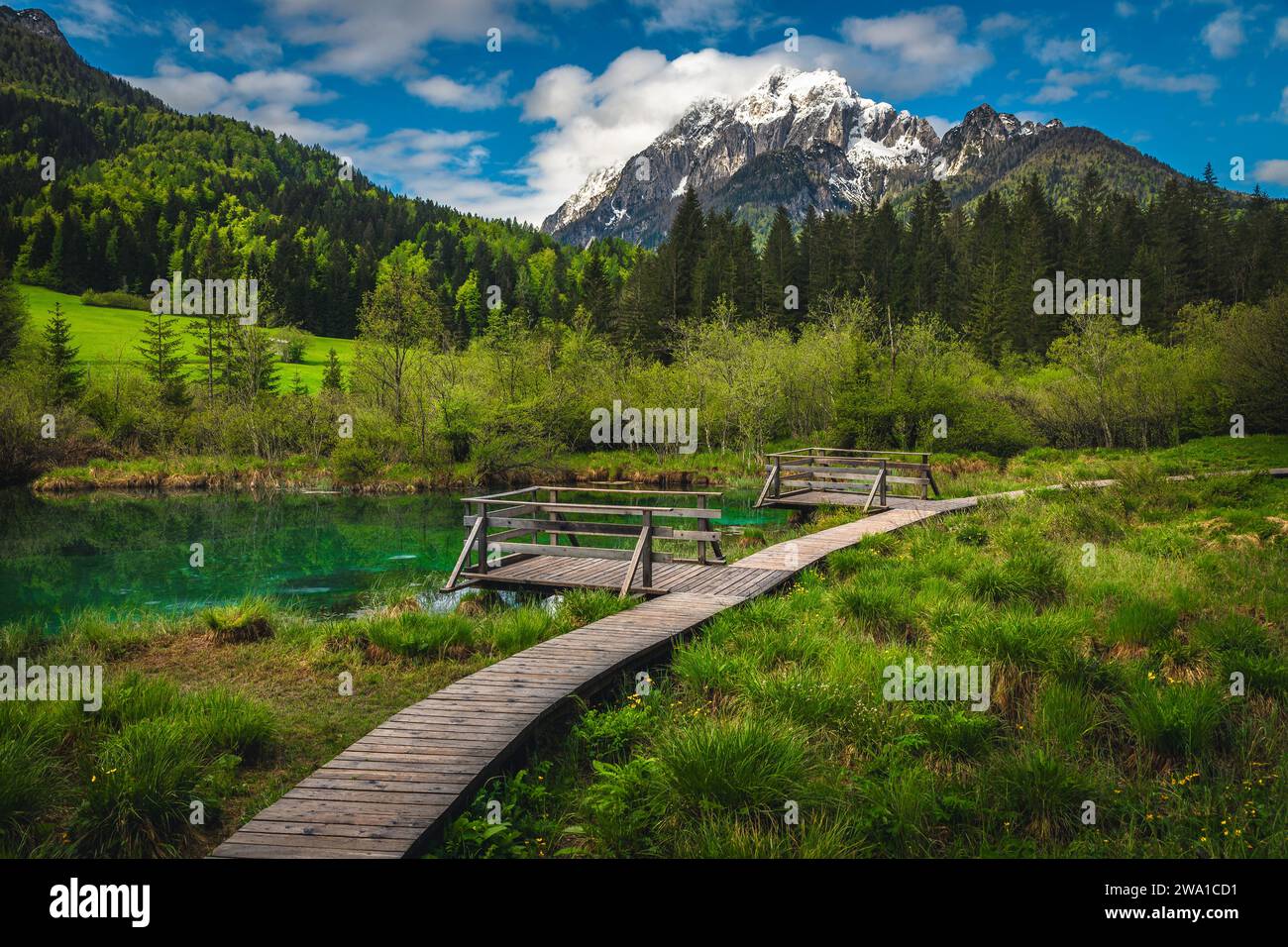 Un des plus célèbres petits lacs de montagne turquoise en Slovénie. Pont en bois et passerelle avec le lac Zelenci situé près de Kranjska Gora, Slovénie, E Banque D'Images