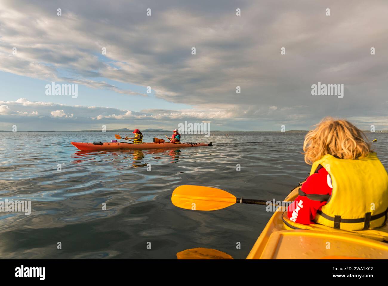 Kayak de mer en famille dans Frenchman Bay, parc national Acadia, Maine. Îles Porcupine. Banque D'Images