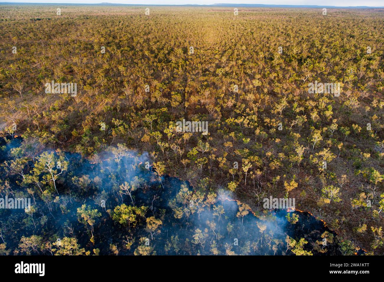 Brûlage prescrit, zone protégée de Fish River, Australie Banque D'Images