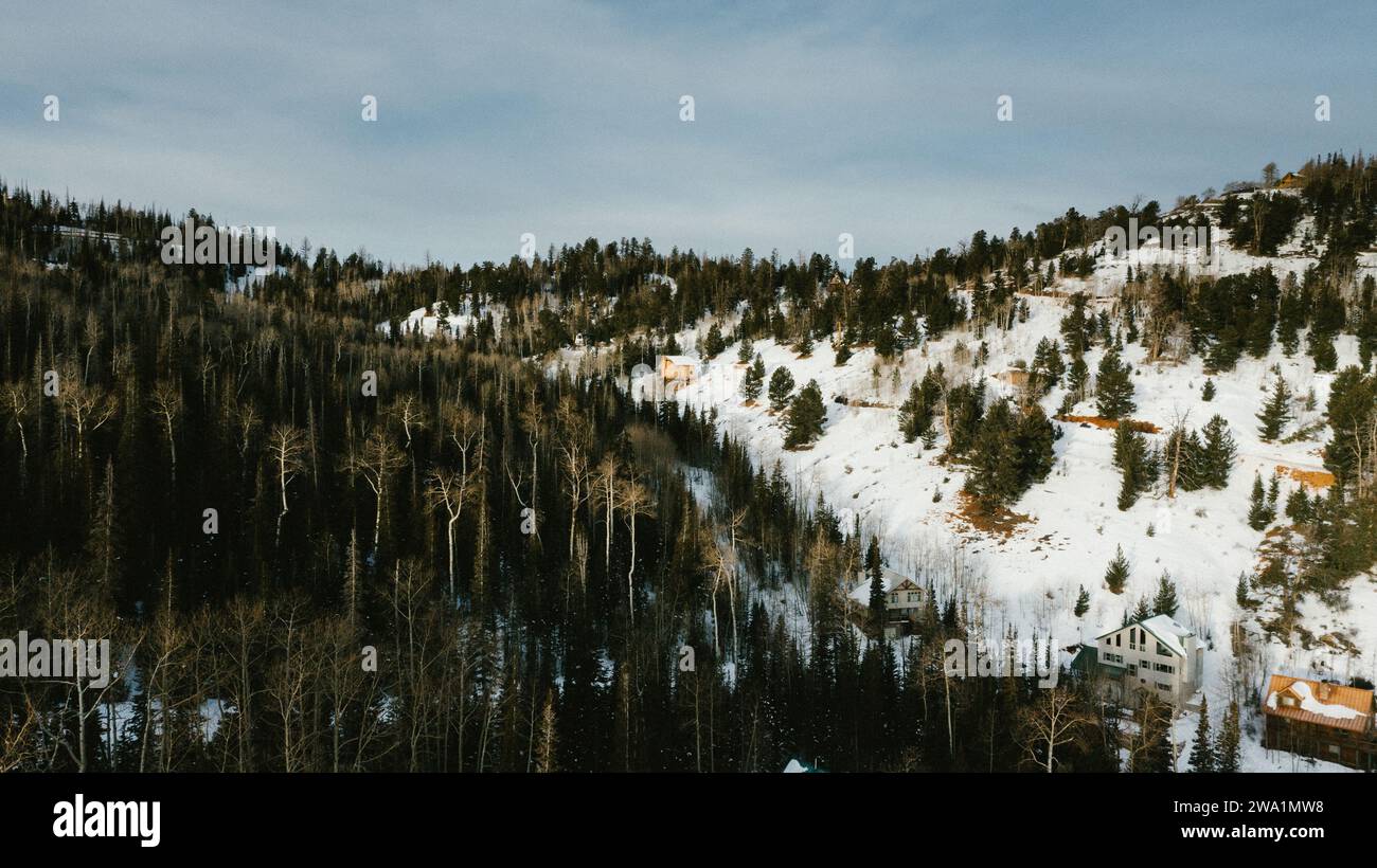 Côté montagne avec forêt, neige et colline et petites cabanes Banque D'Images