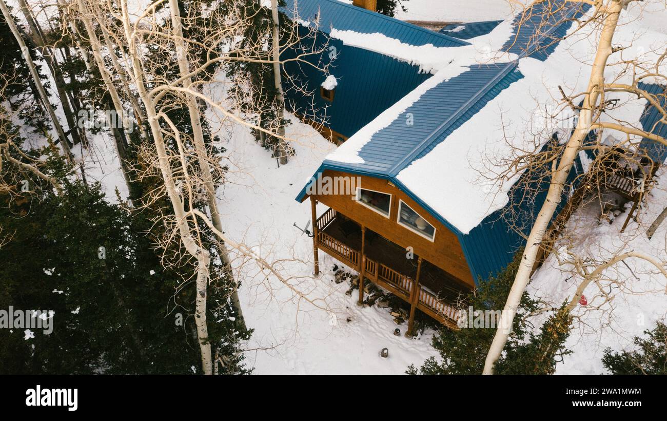 Cabane en bois dans les arbres couverts de neige Banque D'Images
