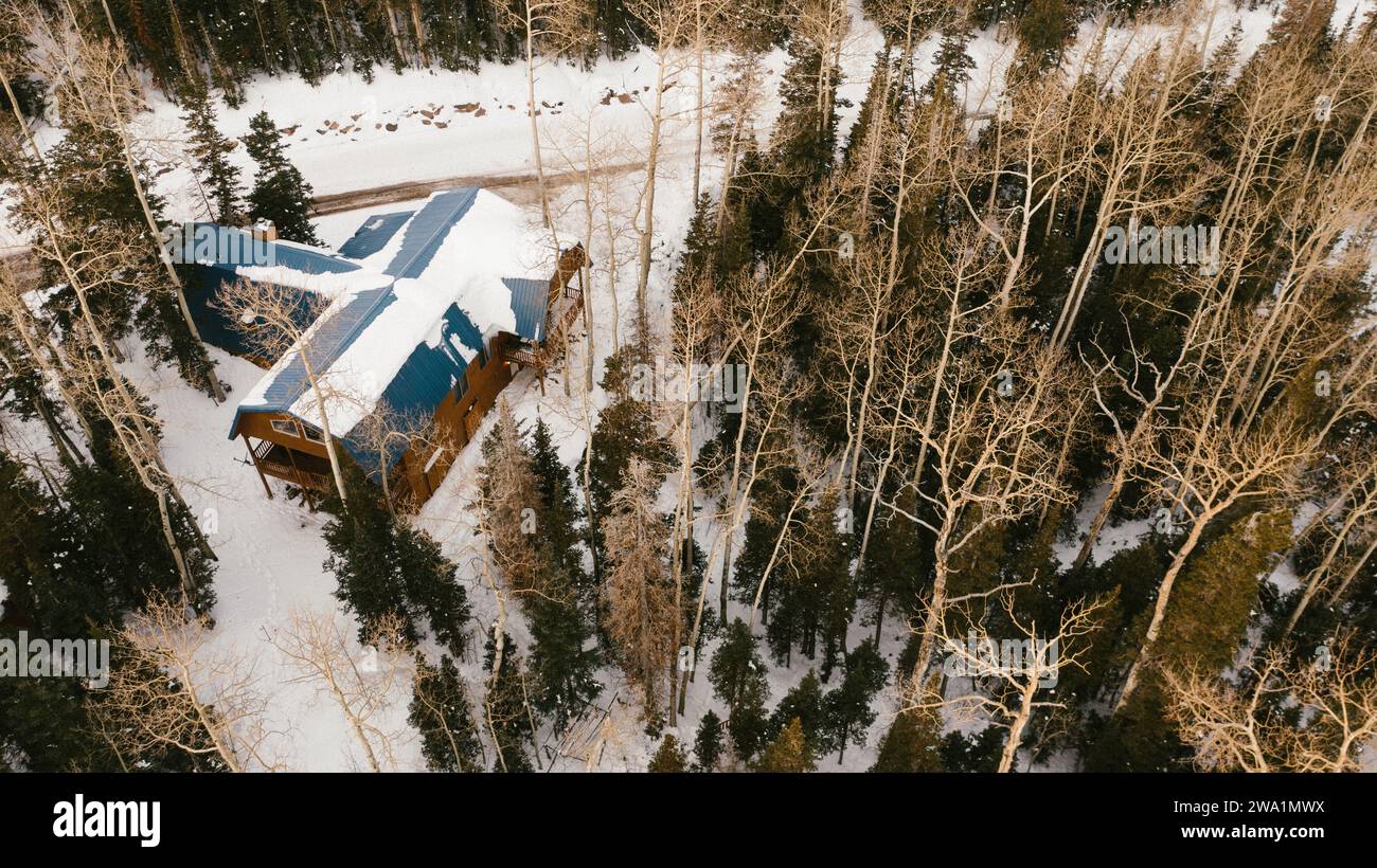 Drone vue de cabine couverte de neige et arbres dans les montagnes Banque D'Images