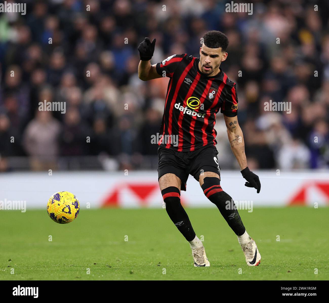 Londres, Royaume-Uni. 31 décembre 2023. Dominic Solanke de Bournemouth lors du match de Premier League au Tottenham Hotspur Stadium, Londres. Le crédit photo devrait se lire : David Klein/Sportimage crédit : Sportimage Ltd/Alamy Live News Banque D'Images