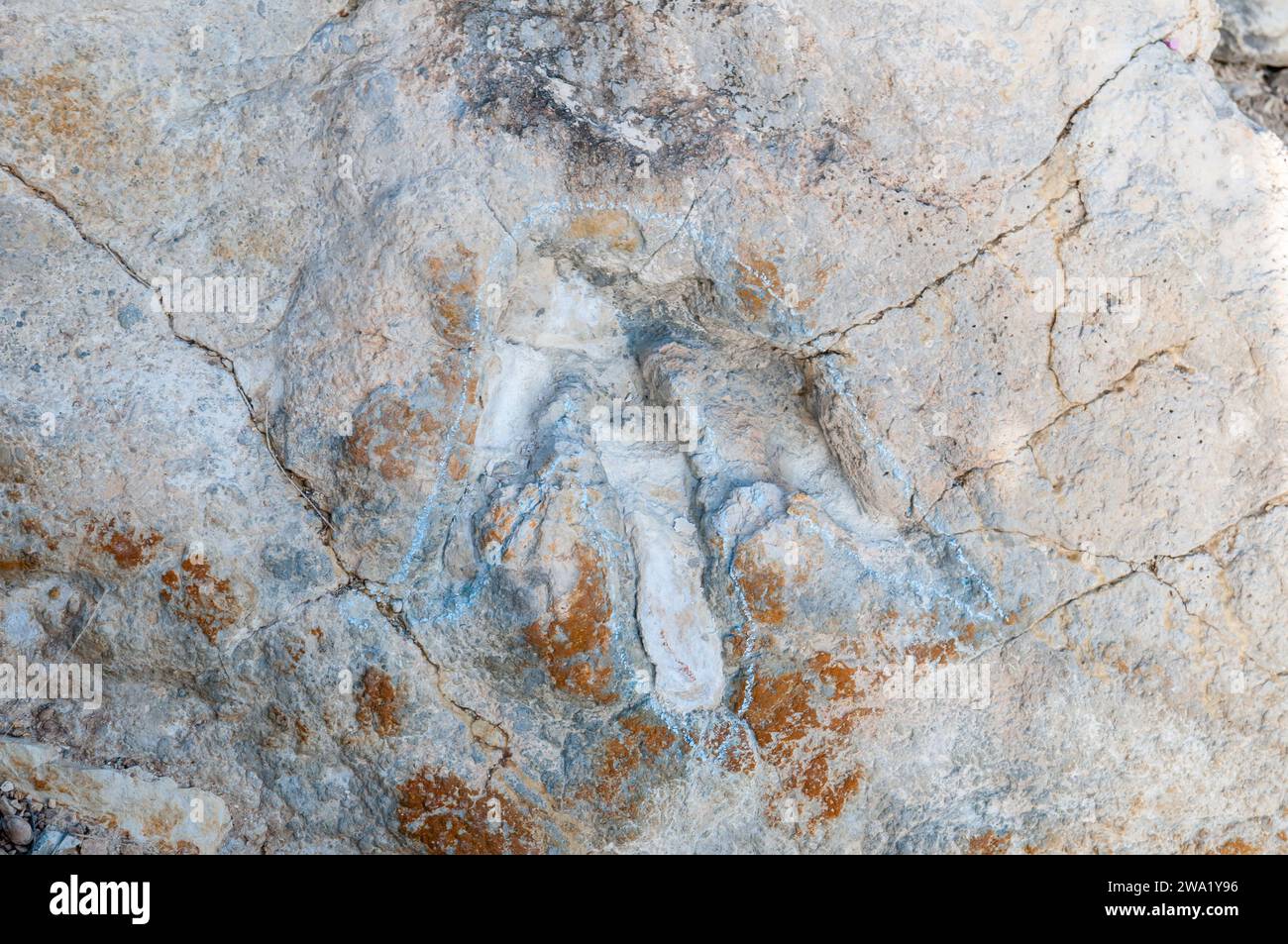 Trace fossile, sites paléontologiques de vertébrés du Crétacé inférieur, Villanueva de Huerva, Aragon, Espagne Banque D'Images