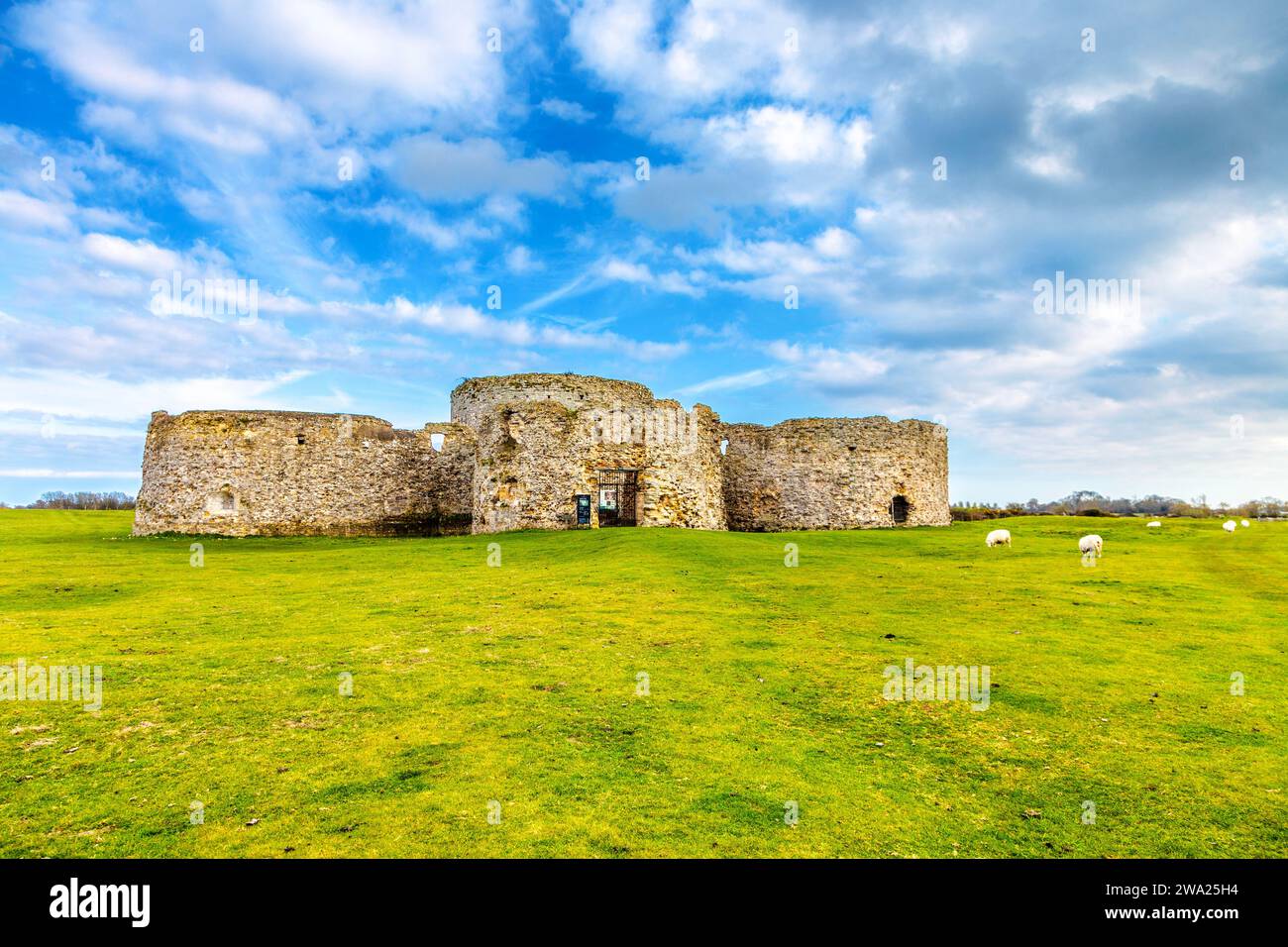 Ruines du château de Camber du 16e siècle, East Sussex, Angleterre Banque D'Images