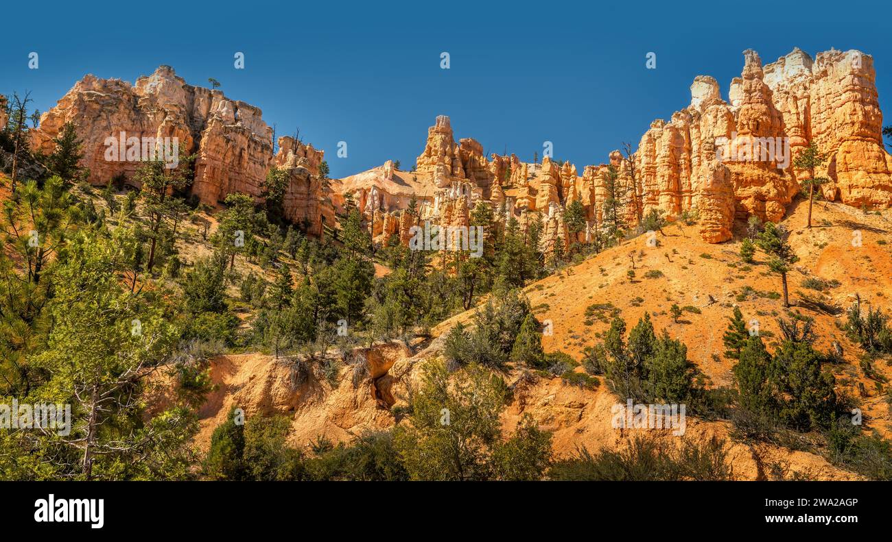 Panorama hoodoo flèches dans le parc national de Bryce Canyon Banque D'Images