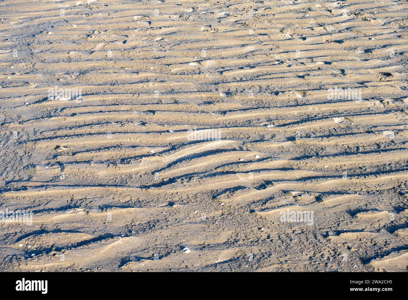Wellige Sandtextur an einem Ufer oder Strand als hintergrund *** texture de sable ondulé sur un rivage ou une plage comme arrière-plan Banque D'Images