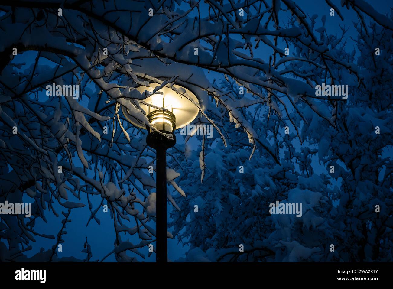 Lampadaire avec bonnet fait de neige fraîche lors de fortes chutes de neige la nuit, Bavière, Allemagne Banque D'Images