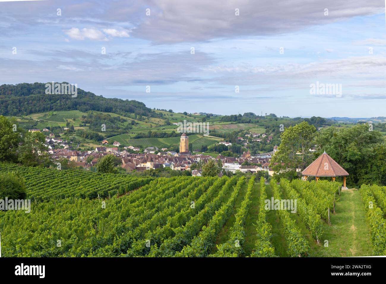 Vignobles avec ville d'Arbois, département du Jura, Franche-Comté, France Banque D'Images