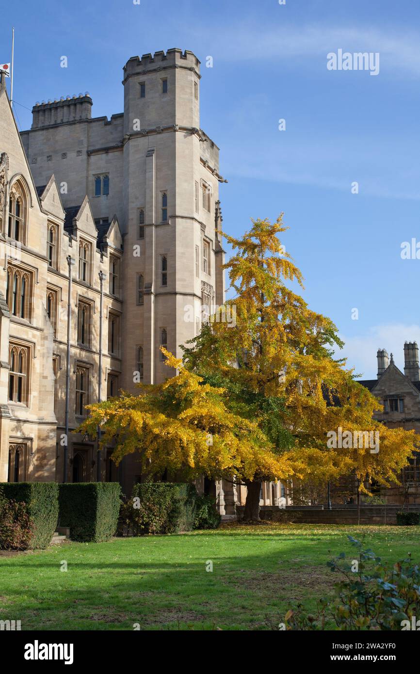 Le terrain du New College, Oxford dans l'Oxfordshire au Royaume-Uni Banque D'Images
