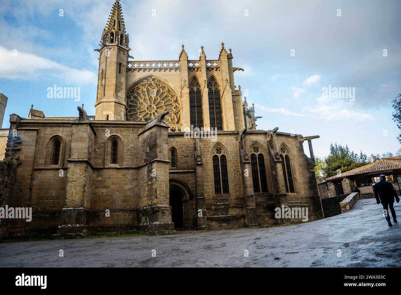 Basilique des Saints Nazarius et Celsus, église catholique romaine située dans la citadelle de Carcassonne, construite dans le style architectural gothique-roman, Banque D'Images