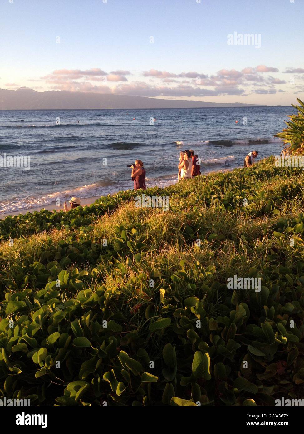 Îles Maui .Hawaii, les voyageurs des États-Unis apprécient le coucher du soleil tout en marchant sur la plage ka anapali 20 janvier 2015 Photo de Francis Joseph Dean/Deanimages) Banque D'Images