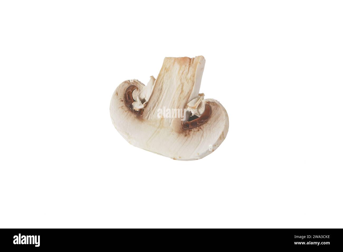 Agaricus bisporus moitié de fruit immature. Coupe transversale bouton champignon champignon blanc isolé sur blanc. Banque D'Images