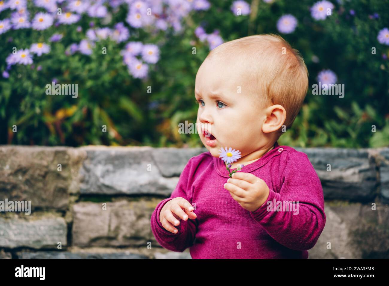 Portrait en plein air d'adorable petite fille de 9-12 mois jouant avec des fleurs violettes Banque D'Images