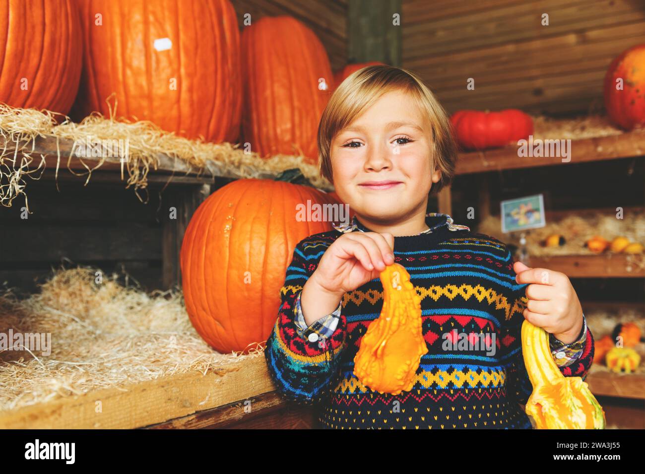Adorable petit garçon de 5-6 ans choisissant la citrouille halloween sur le marché de la ferme Banque D'Images