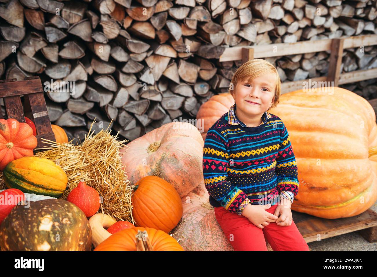 Adorable petit garçon de 5-6 ans choisissant la citrouille halloween sur le marché de la ferme Banque D'Images