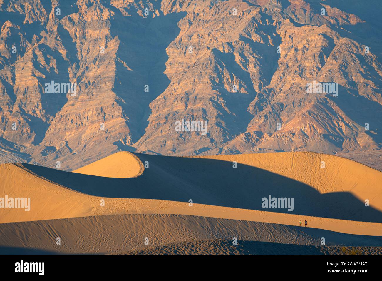 Mesquite Dunes with Tracks, Death Valley NP, Californie Banque D'Images