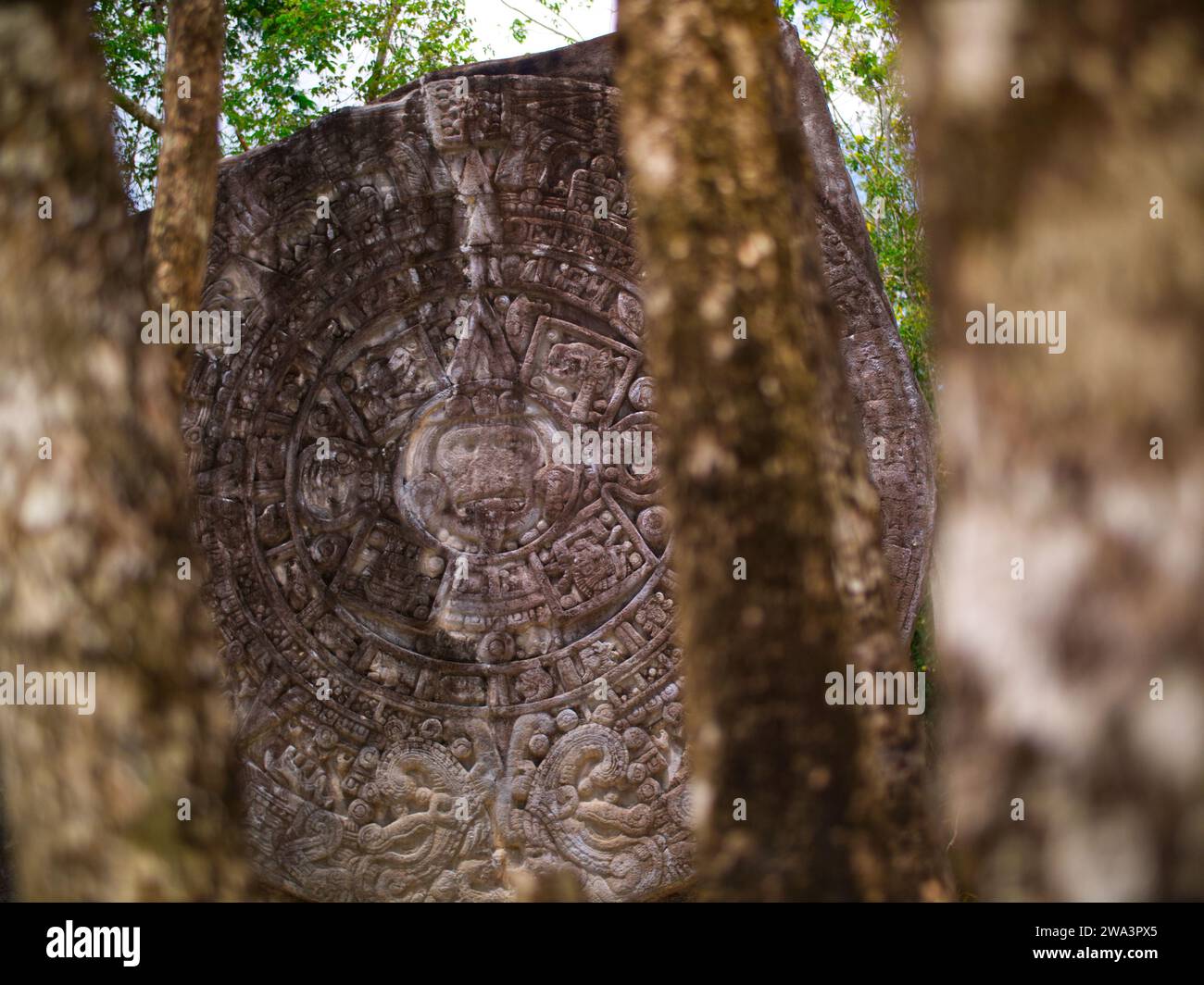 Quintana Roo, Mexique - 1 novembre 2023 - hiéroglyphes mayas dans une dalle de pierre dans le parc d'aventure de la plage de chankanaab à san miguel de cozumel, quintana ro Banque D'Images
