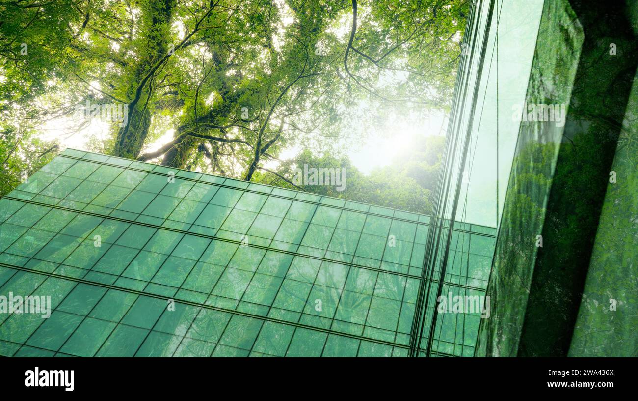 Bâtiment écologique dans la ville moderne. Immeuble de bureaux en verre durable avec arbres pour réduire le CO2. Architecture verte. Bâtiment avec vert Banque D'Images