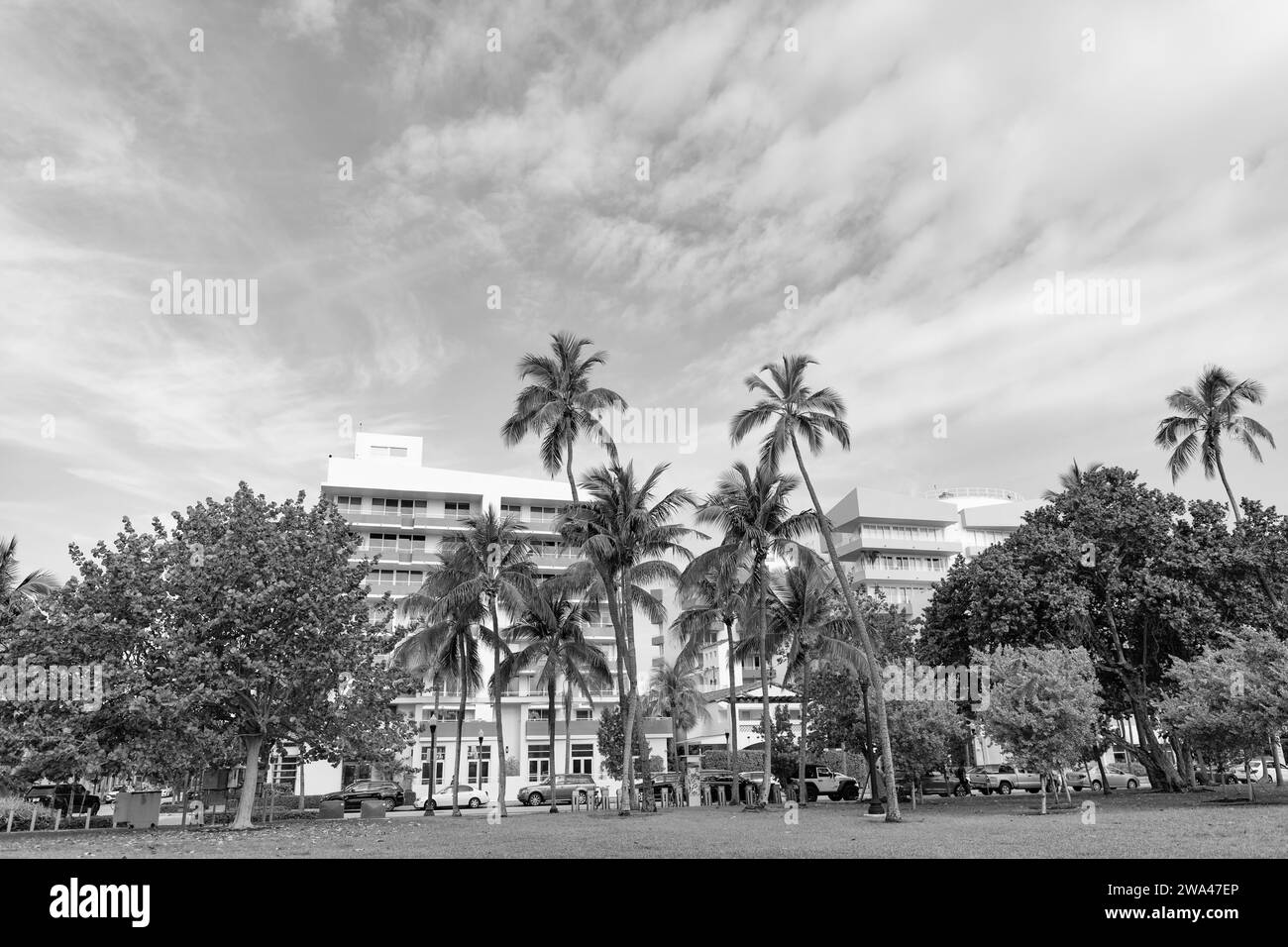 Miami, Floride États-Unis - 18 avril 2021 : parc d'été au centre-ville de miami avec palmiers, Ocean Drive Banque D'Images