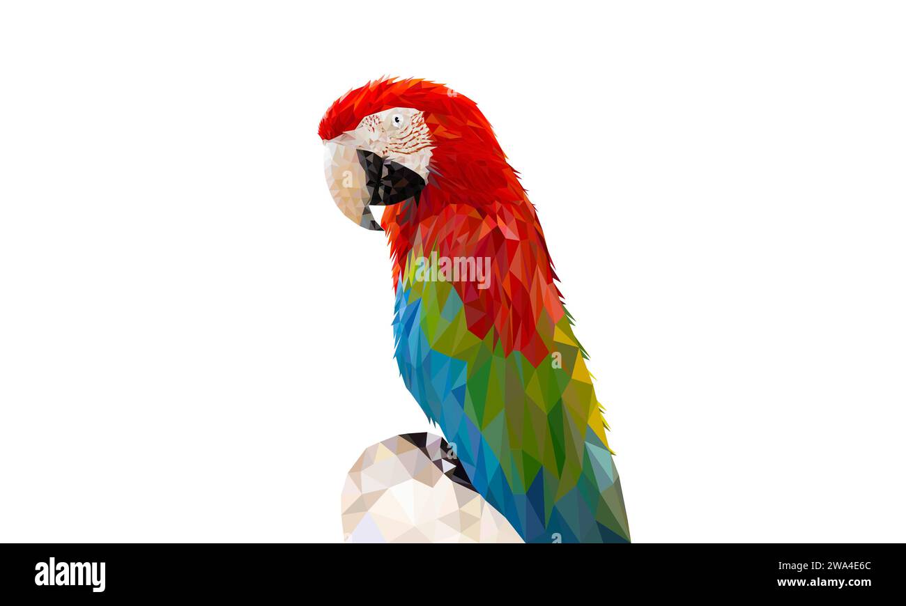 Polygon Graphics Perroquet Macaw de couleur rouge et verte isolé sur une illustration vectorielle de fond blanc Illustration de Vecteur