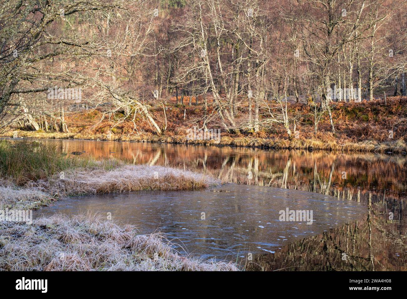 Rivière Cannich en décembre. Glen Cannich, Highlands, Écosse Banque D'Images