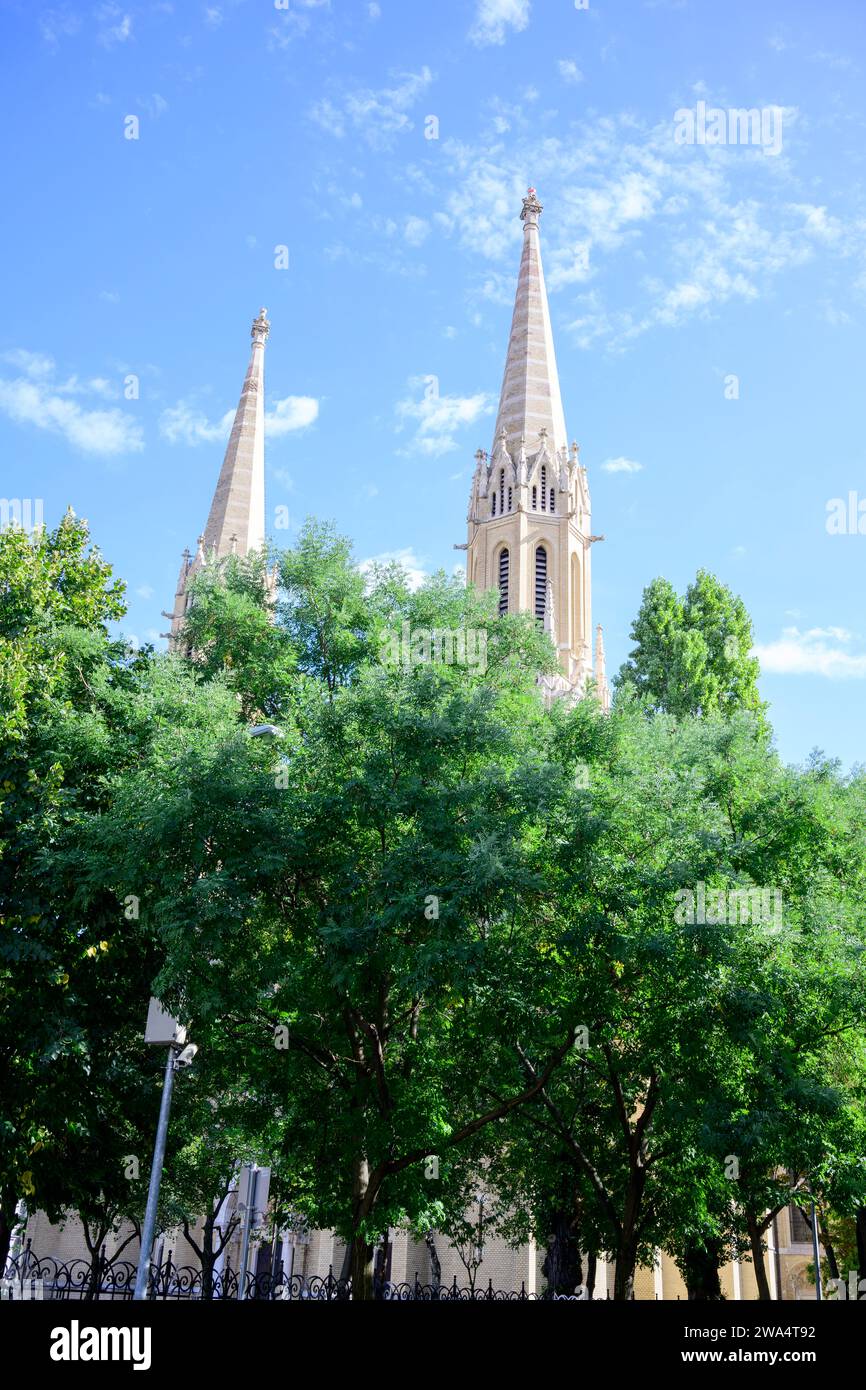 Le Steeple de Szent Erzsébet / Église paroissiale Sainte Elizabeth sur Rozsak tere dans le district VII vu à travers le feuillage des arbres, Budapest, Hongrie par Imre Stei Banque D'Images