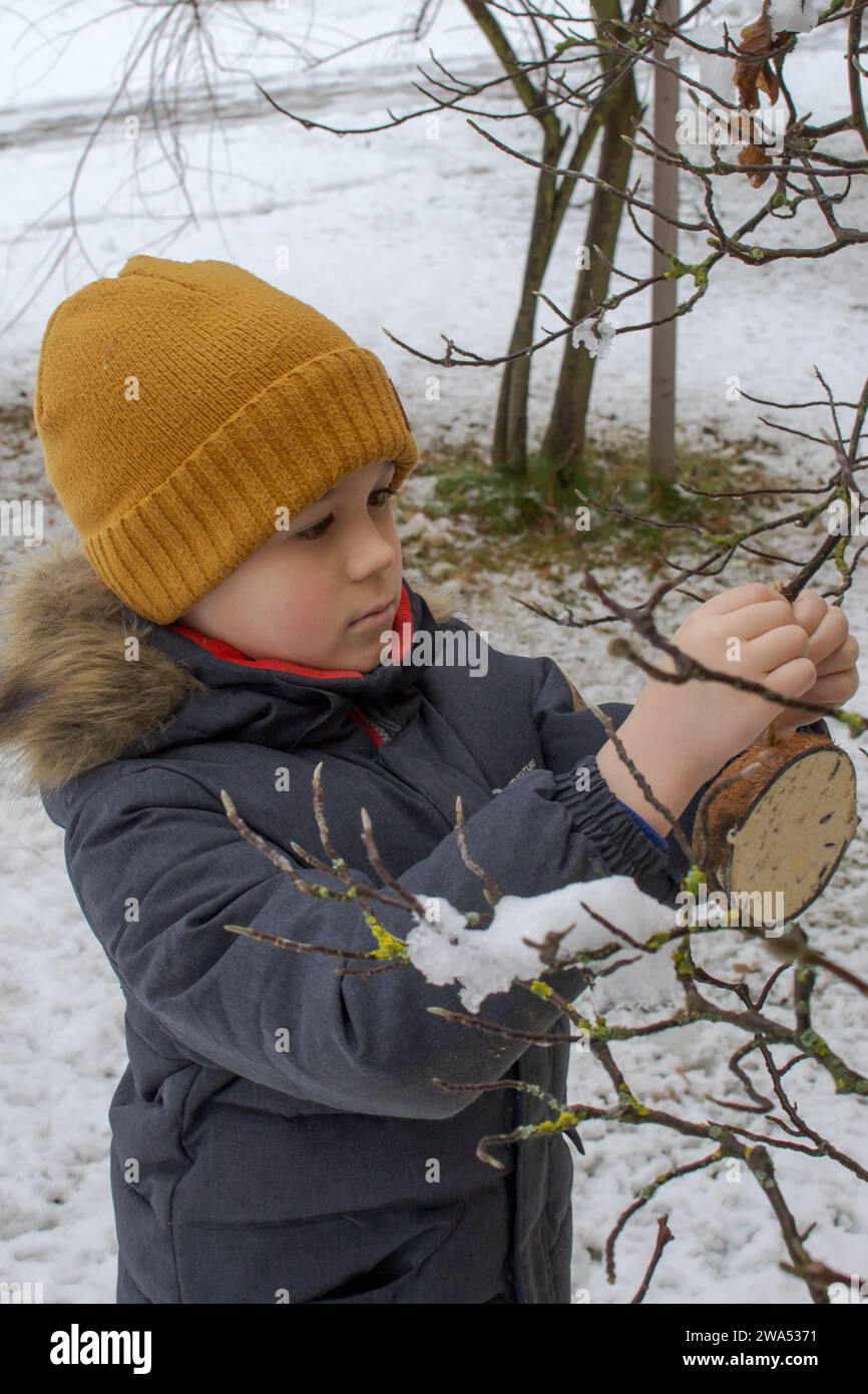 Petit garçon accrochant une mangeoire de noix de coco sur une branche d'arbre Banque D'Images