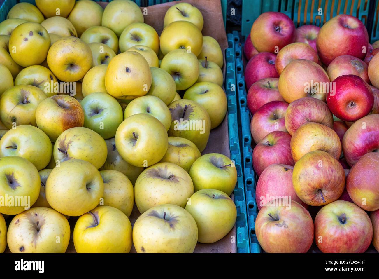 Pommes vertes et rouges pour la vente à un marché Banque D'Images