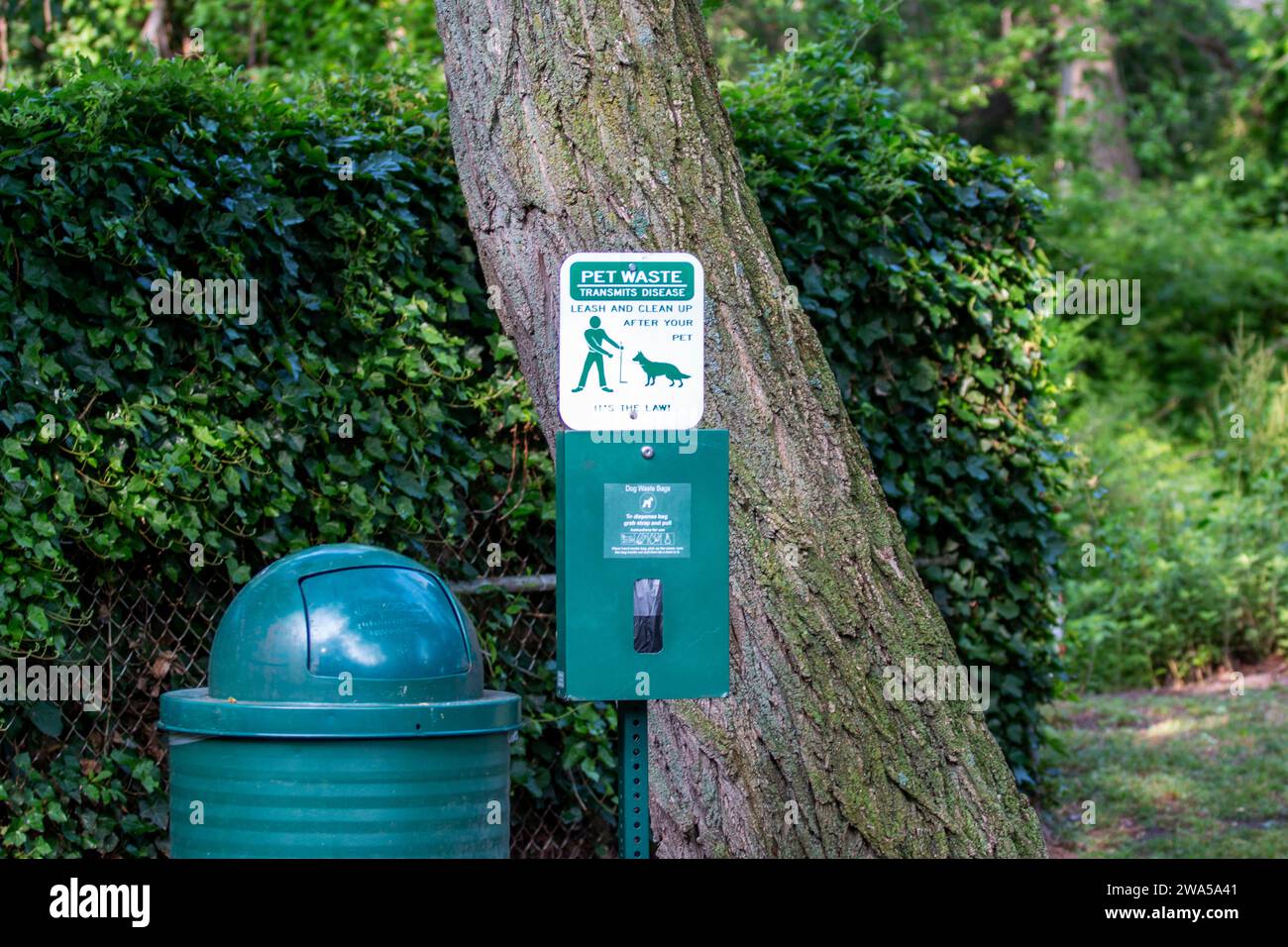 Babylon, New York, États-Unis - 17 juin 2023 : une poubelle verte assise à côté d'un arbre avec un sac à déchets pour animaux de compagnie distributeur avec des sacs gratuits. Banque D'Images