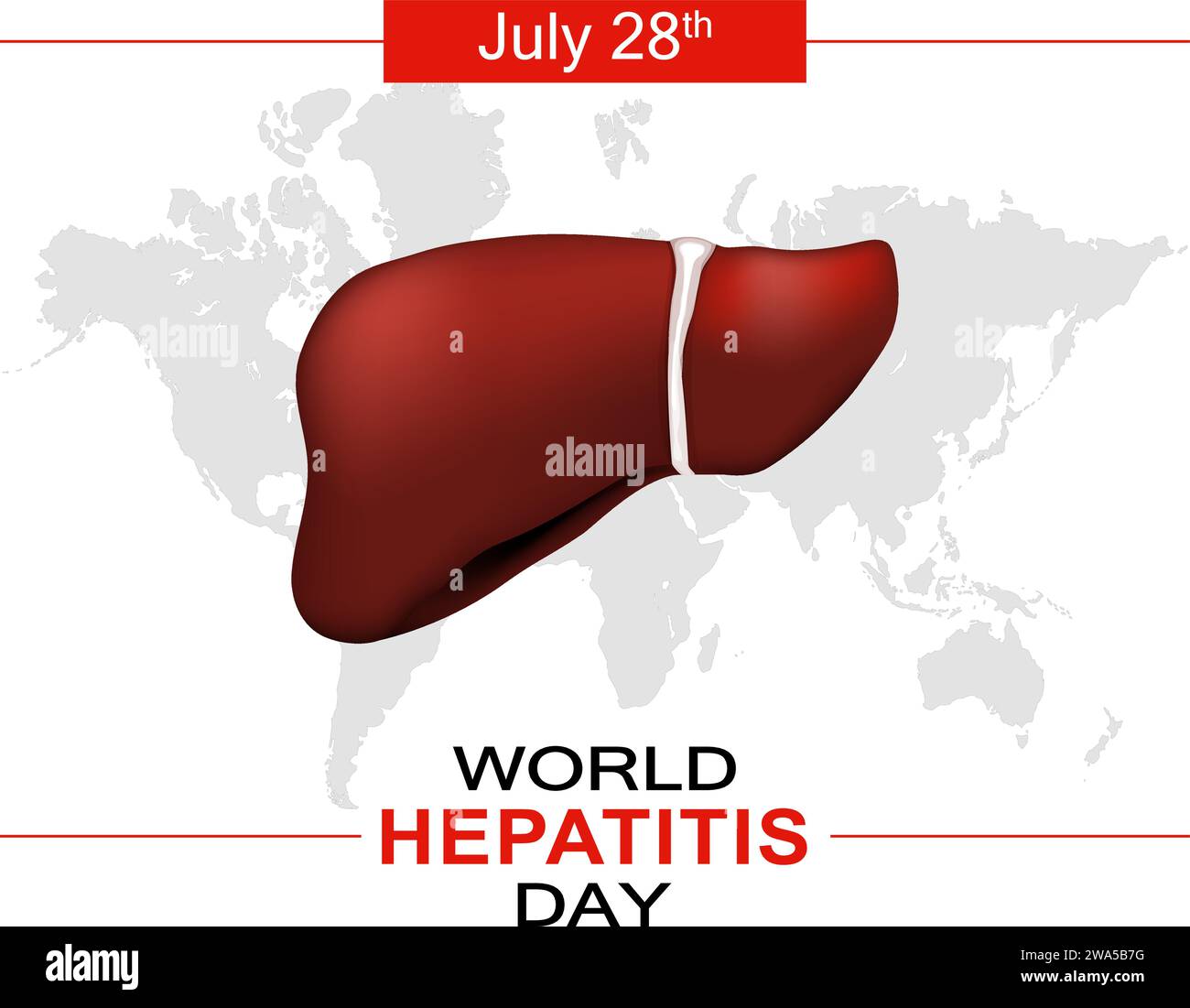 Journée mondiale de l'hépatite. Foie humain sur fond de carte grise. Affiche vectorielle Illustration de Vecteur