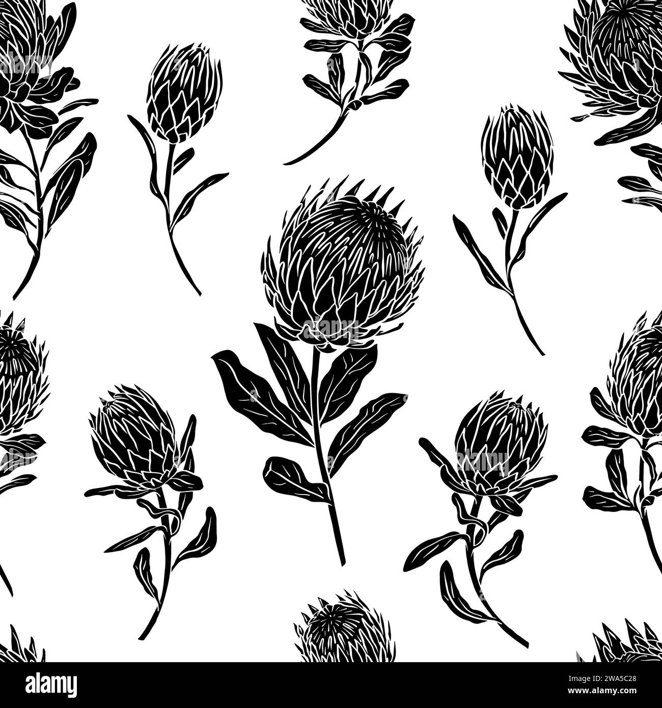 Motif sans couture noir et blanc avec des fleurs protea art au trait Illustration de Vecteur