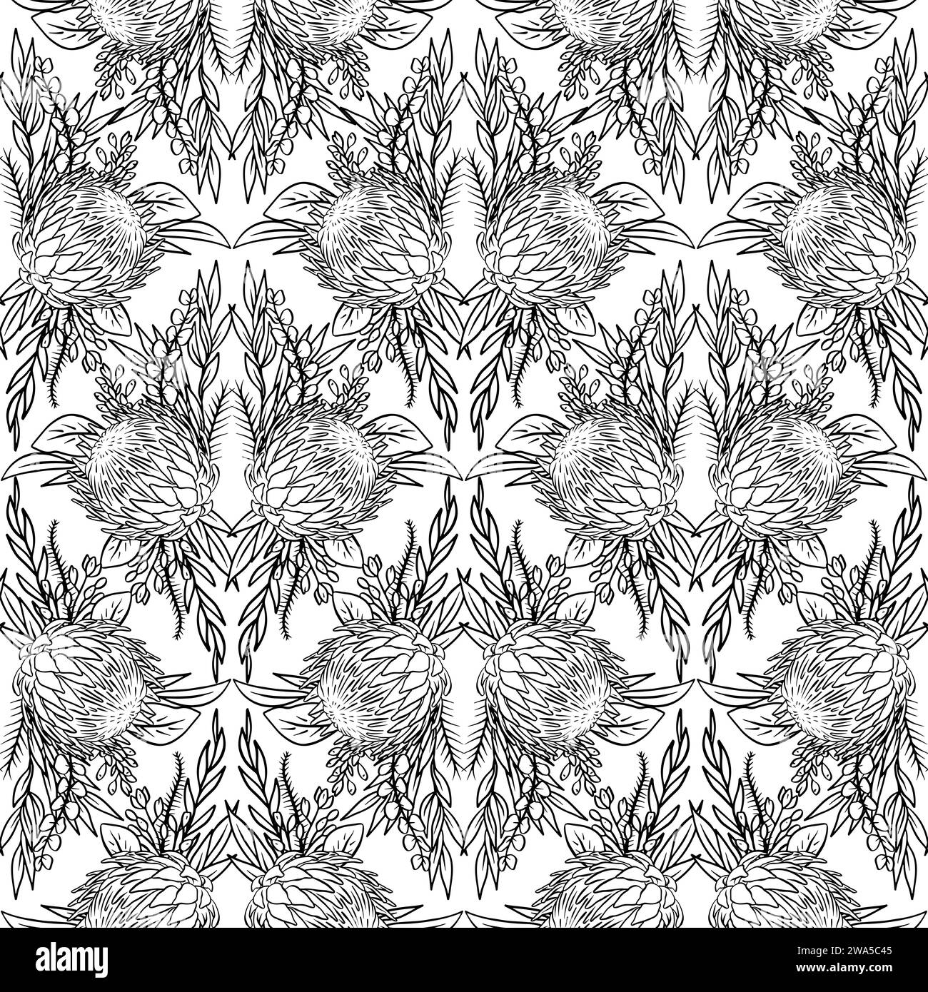 Motif sans couture noir et blanc avec des fleurs protea art au trait Illustration de Vecteur