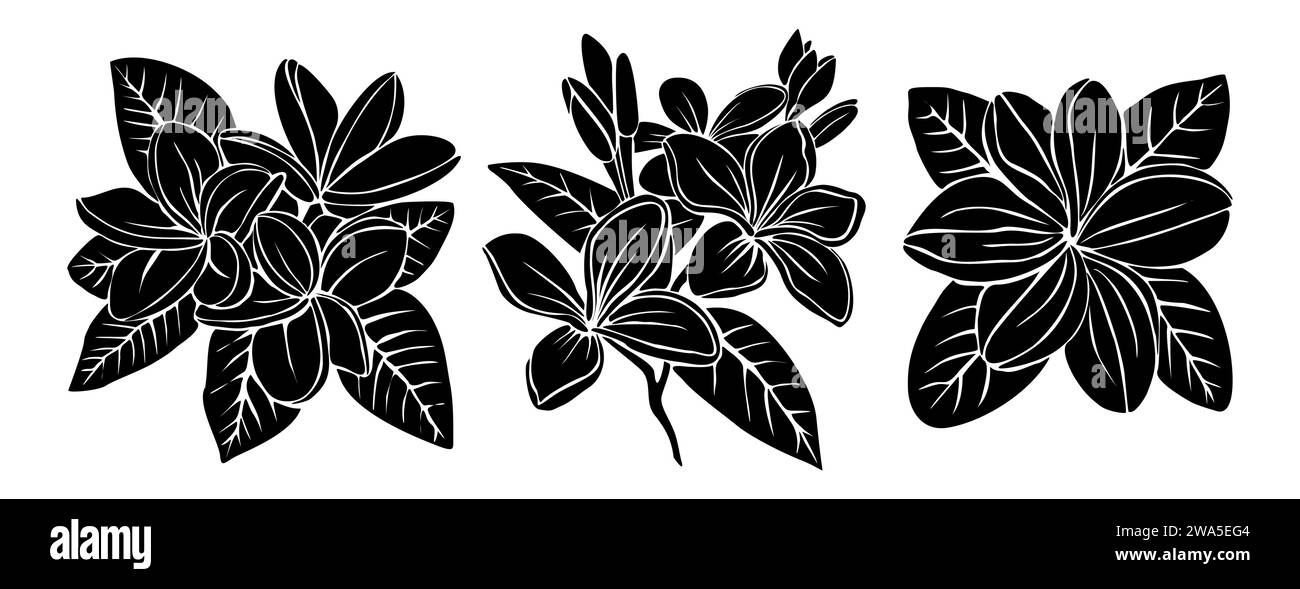 Ensemble de silhouettes noires de fleurs de plumeria. Illustration de Vecteur