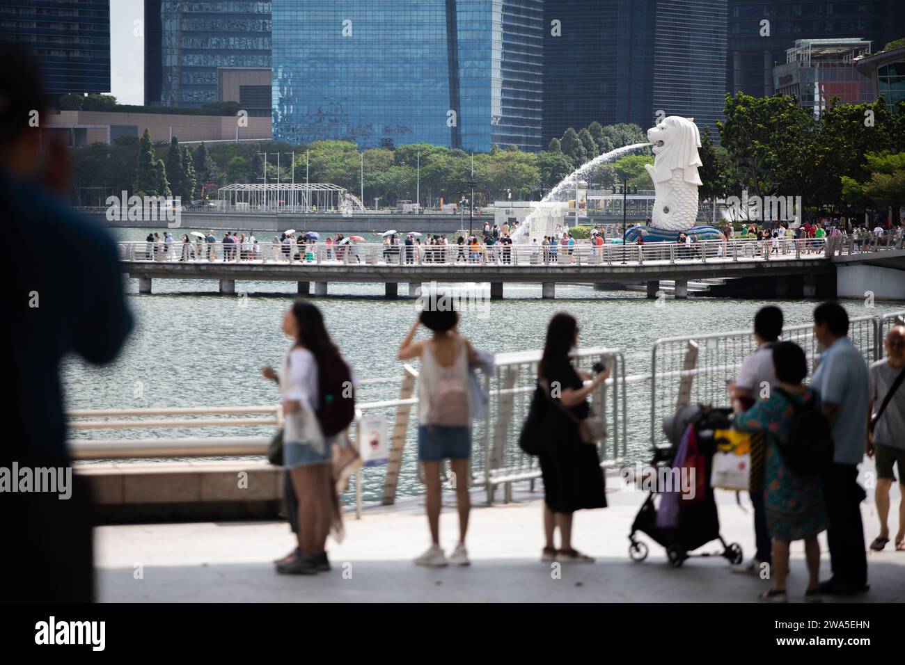 Par ce temps chaud, les touristes restent à l'ombre et regardent la grande statue de Merlion germer de l'eau de loin, Singapour. Janvier 2024. Banque D'Images