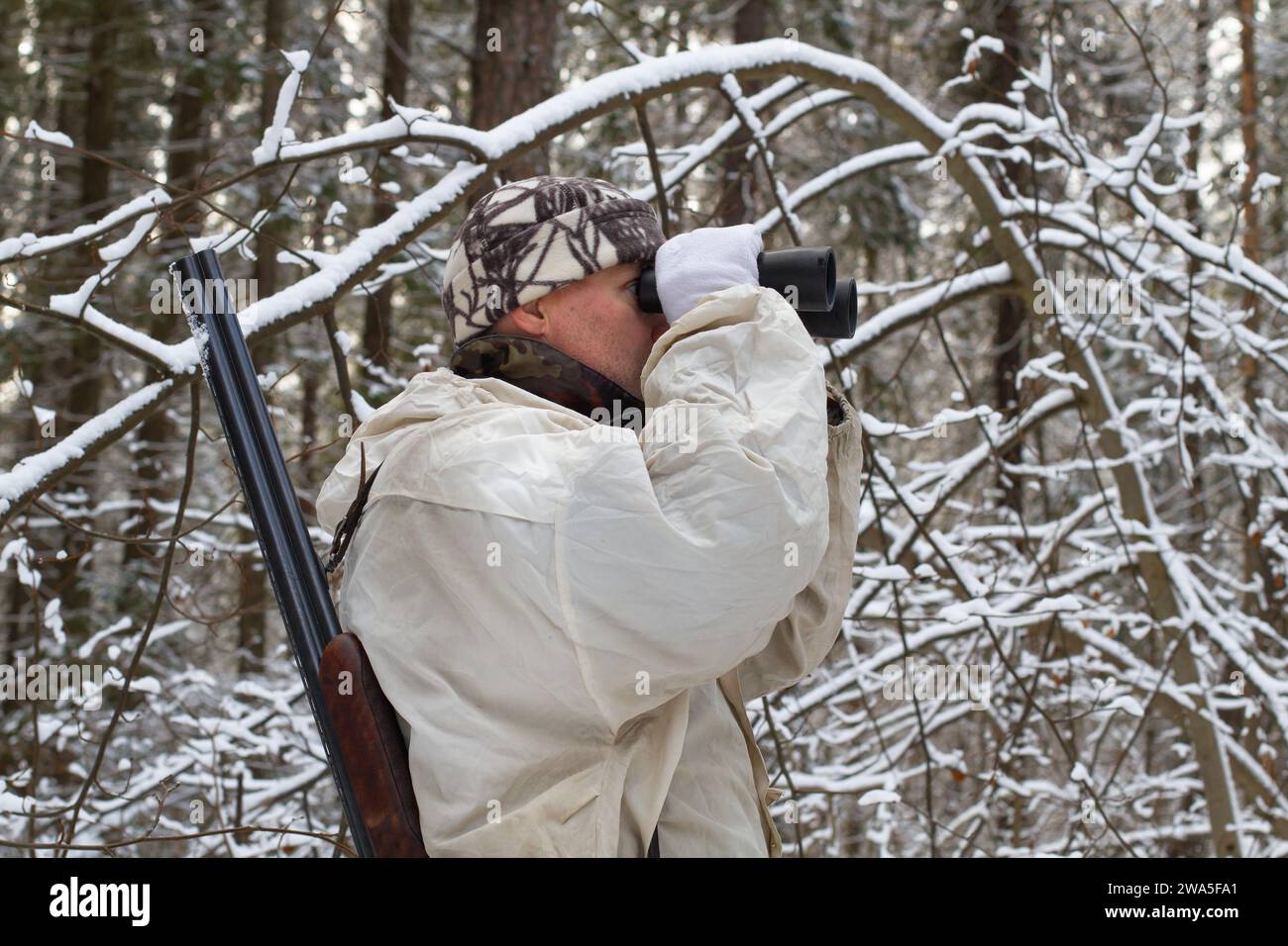 Un chasseur vêtu d'un camouflage blanc, avec un fusil de chasse sur l'épaule, regarde à travers des jumelles dans la forêt nordique couverte de neige pendant un h d'hiver Banque D'Images