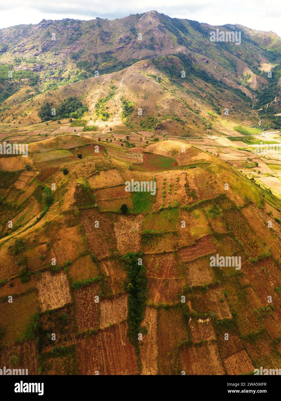 Volcan éteint avec des terres fertiles pour la culture au Vietnam. Banque D'Images