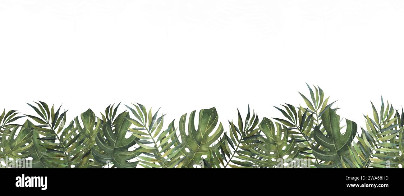 Jungle composition exotique tropical feuilles sans couture motif de bordure mostera vert invitation bannières de vacances avec palmier. Aquarelle dessinée à la main illustrati Banque D'Images