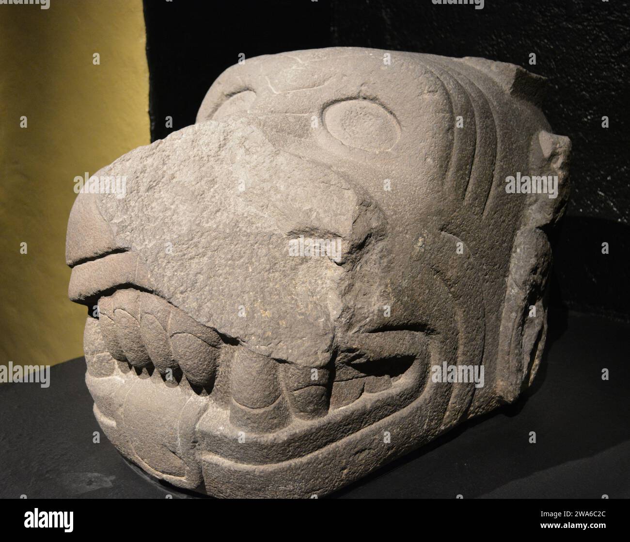 Dieu Xolotl, Dieu duplicité. Musée Templo Mayor à Mexico. Banque D'Images