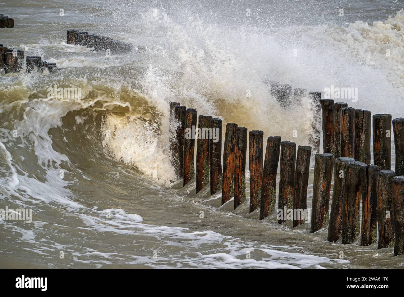 Vague s'écrasant dans le groyne en bois / brise-lames pour éviter l'érosion du sable de plage pendant la tempête hivernale le long de la côte de la mer du Nord en Zélande, aux pays-Bas Banque D'Images