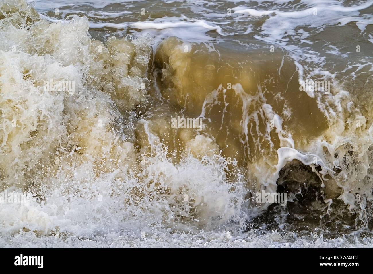 Vague s'écrasant / roulant sur la plage pendant la tempête hivernale le long de la côte de la mer du Nord en Zélande, pays-Bas Banque D'Images