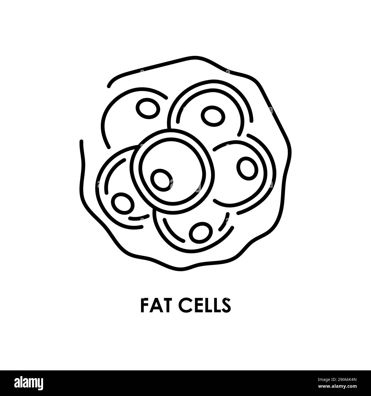 Icône de ligne de couleur des cellules graisseuses. Micro-organismes microbes, bactéries. Elément isolé par vecteur. Contour modifiable. Illustration de Vecteur