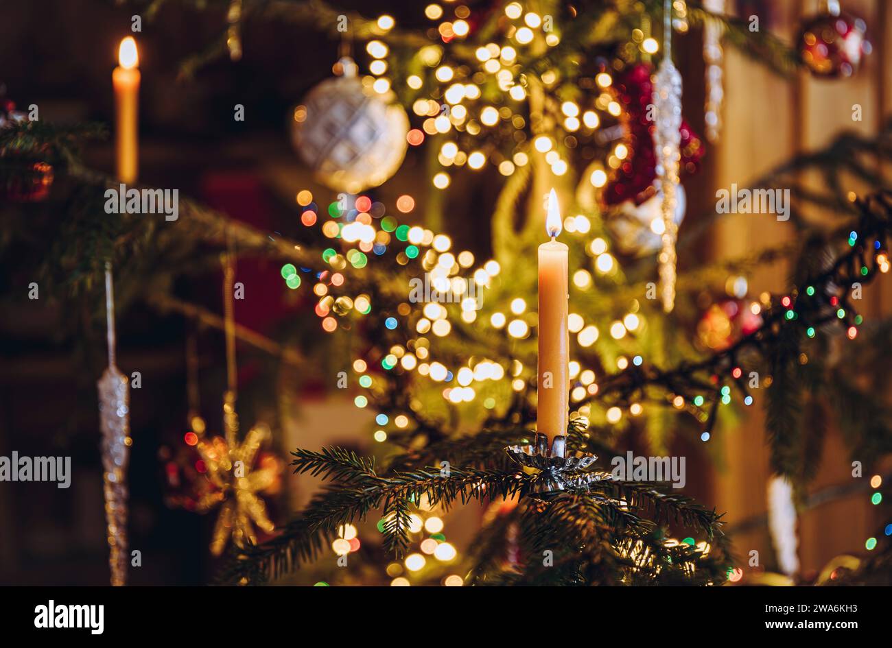 Focalisation sélective sur la combustion de bougie, clip de bougie sur le véritable arbre de Noël décoré avec des lumières de Noël bokeh sur fond. Banque D'Images