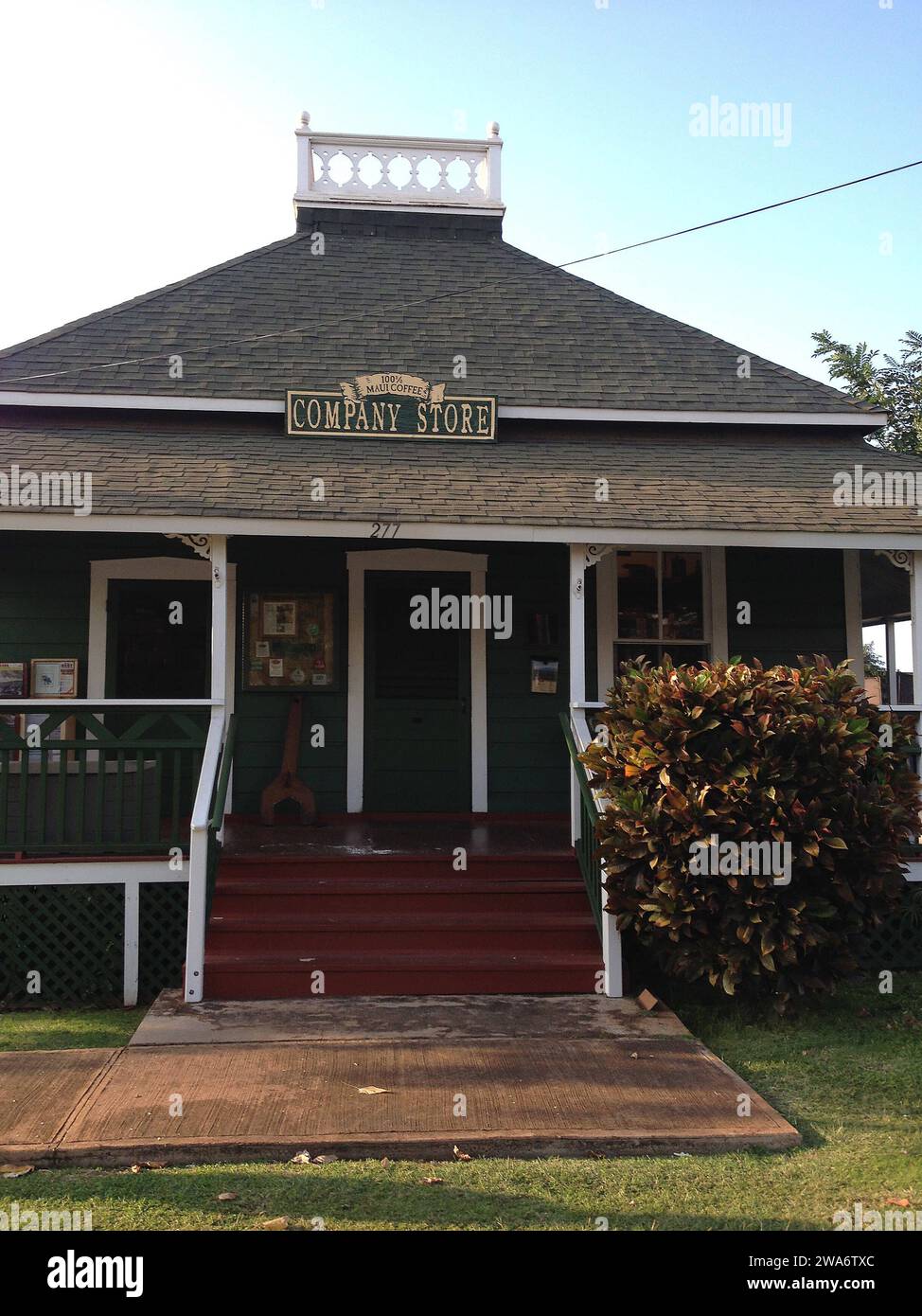 Maui .Hawaii Islands, USA Maui café cultivé 100% maui café de Hawaii usa et divers grains de café 16 janvier 2015 photo de Francis Joseph Dean/Deanpictures Banque D'Images