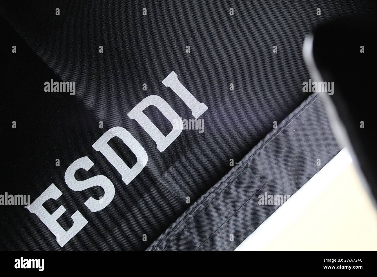 Dublin, Irlande - 3 janvier 2024 : une photo de lumières douces ESDDI pour la photographie et leur logo. Banque D'Images