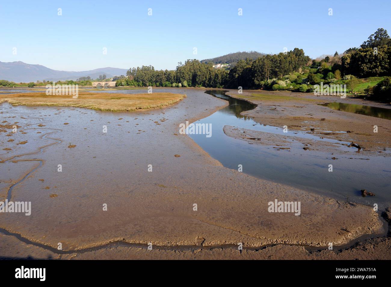 Ria de Ortigueira, marée basse. Province de la corogne, Galice, Espagne. Banque D'Images