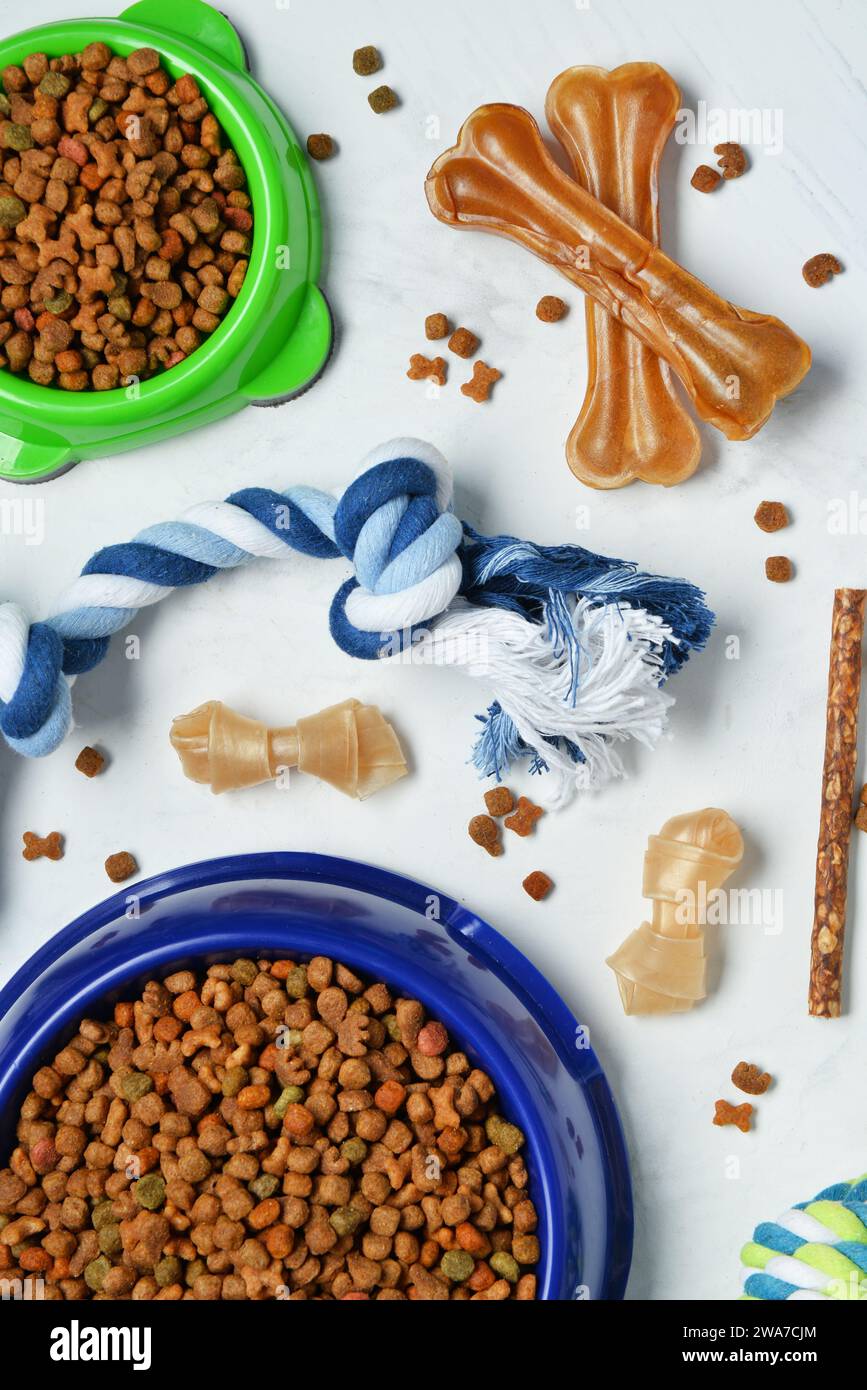 Composition avec différents aliments pour chiens et jouets sur fond clair Banque D'Images